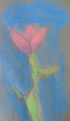 E91 Spring Tulip by Haylie Motycka, St. Mary, Gr.3