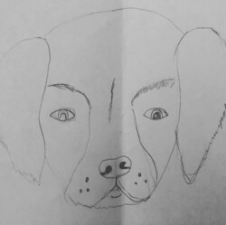 E57 Dog of Hope: Kinsley by Megan Ulrich, Agnes Davidson, Gr.4