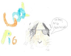E66 Cool Pig by Calvin Kirkby, Dr. Probe, Gr.5