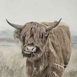 HS5 - Cow Eating Grass by Claire Moore @ ICSS Gr. 11