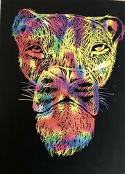 MS30 Lion Scratch Art by Mathias, École La Vérendrye, Gr.6