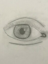 MS87 The Eye by Alyssa Wilson, GS Lakie, Gr.7