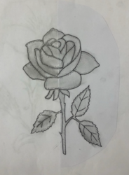 MS49 Rose by Atalia Pozzi, GS Lakie, Gr.7