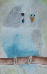 MS35 The Blue Budgie by Nycea Hazelwood, Gilbert Paterson, Gr.7
