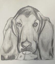 HS15 - DOG by Chloe Worne @ WCHS Gr. 9