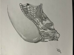 MS11 - Alien by Beau Baker @ Gilbert Paterson Gr. 7