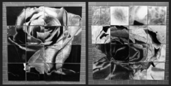 MS12 - Roses by Art 8/9 @St. Francis