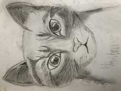 MS7 - Aimée la Chatte! by Sophie Charest @ École La Vérendrye Gr. 7