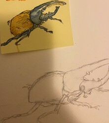 MS18 - Beetle by Lily G @ Sen. Joyce Fairbairn Gr. 8