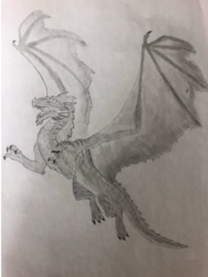 MS7 Dragon by Maxwell Edwards, GS Lakie, Gr.8