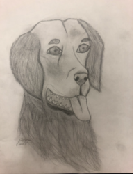 MS13 My Dog by Reesa Kaupp, GS Lakie, Gr.7